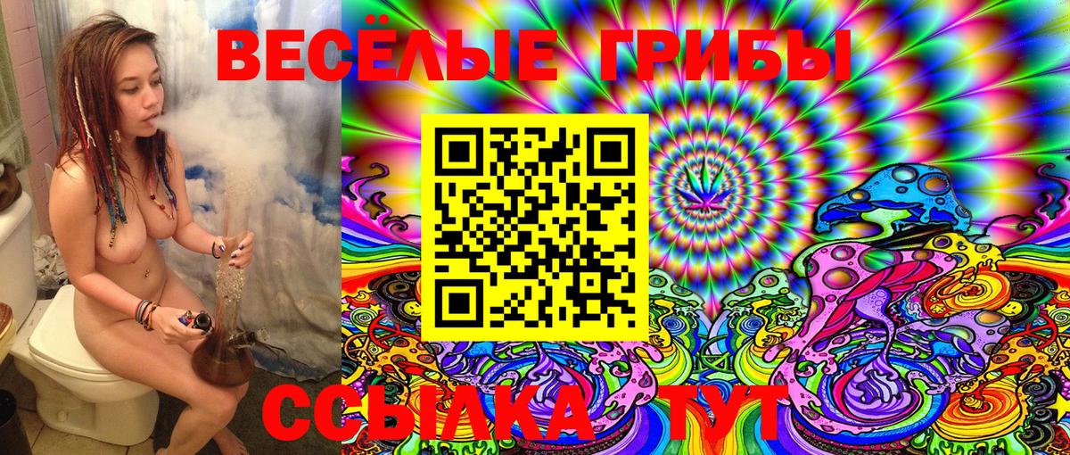 Галлюциногенные грибы MAGIC MUSHROOMS Кинель