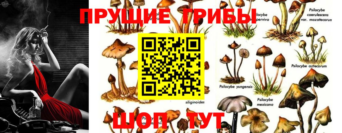 Псилоцибиновые грибы ЛСД  Псилоцибиновые грибы Magic Shrooms  Вход с VPN  Кинель 